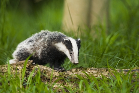 About Us | Nottinghamshire Wildlife Trust